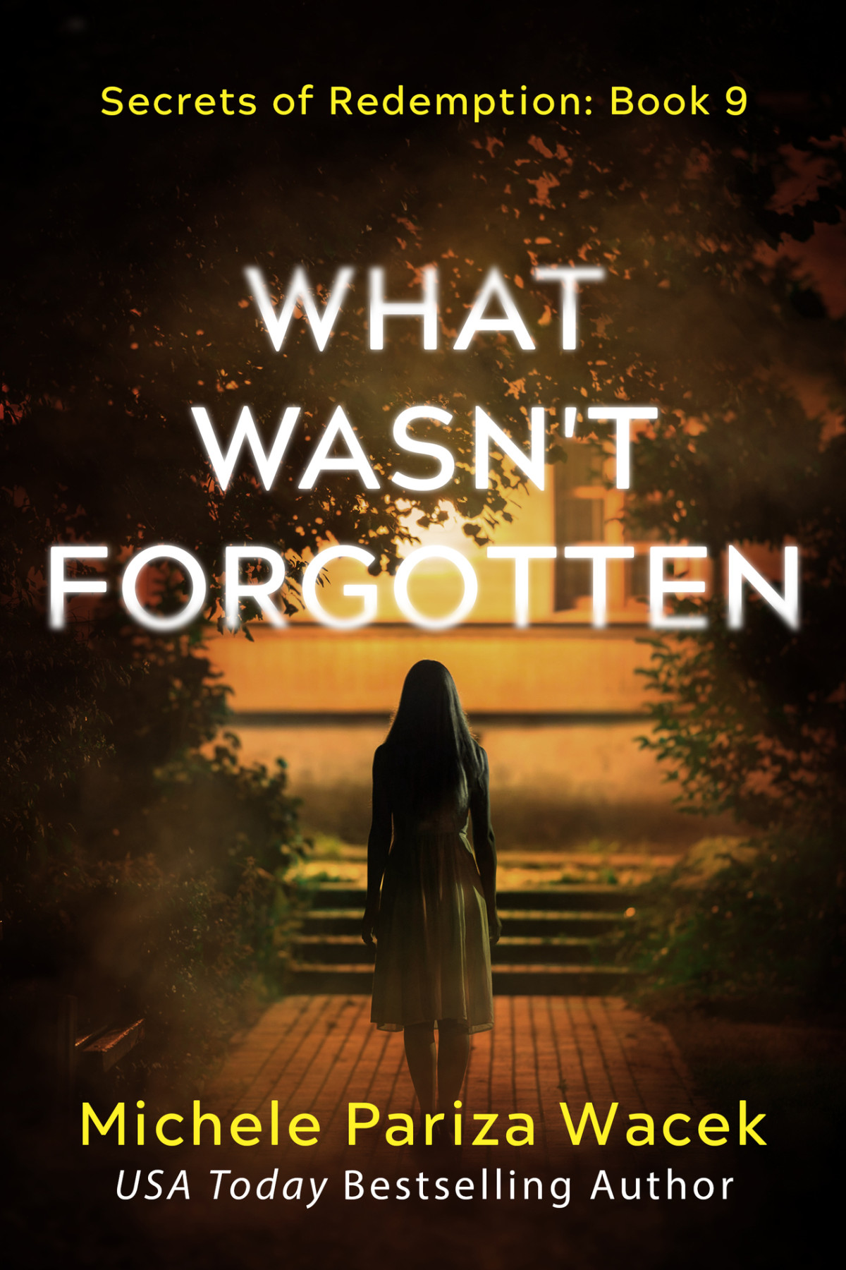 What Wasn't Forgotten - Secrets of Redemption, Book 9 Michele Pariza Wacek