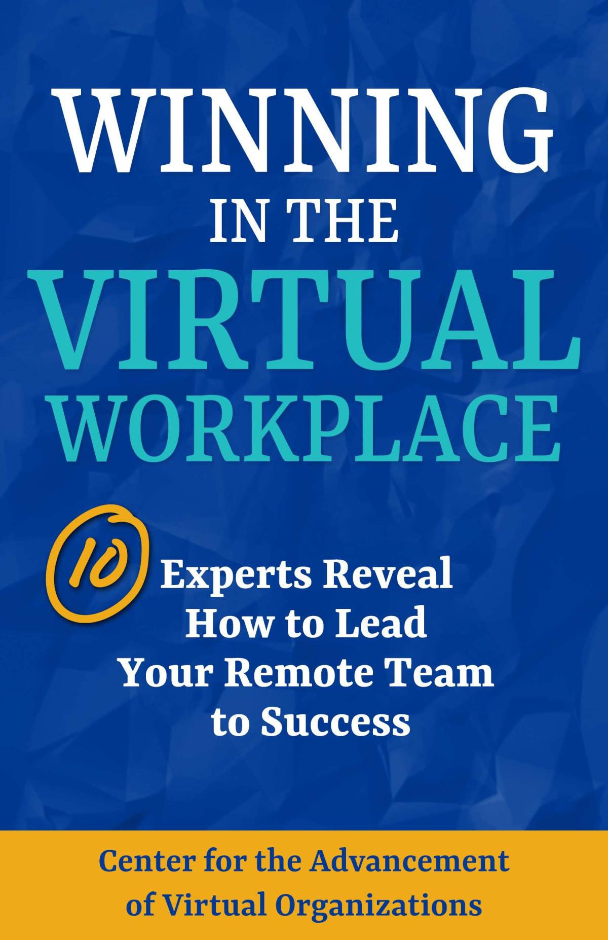 Winning In The Virtual Workplace Center For The Advancemen Organizations
