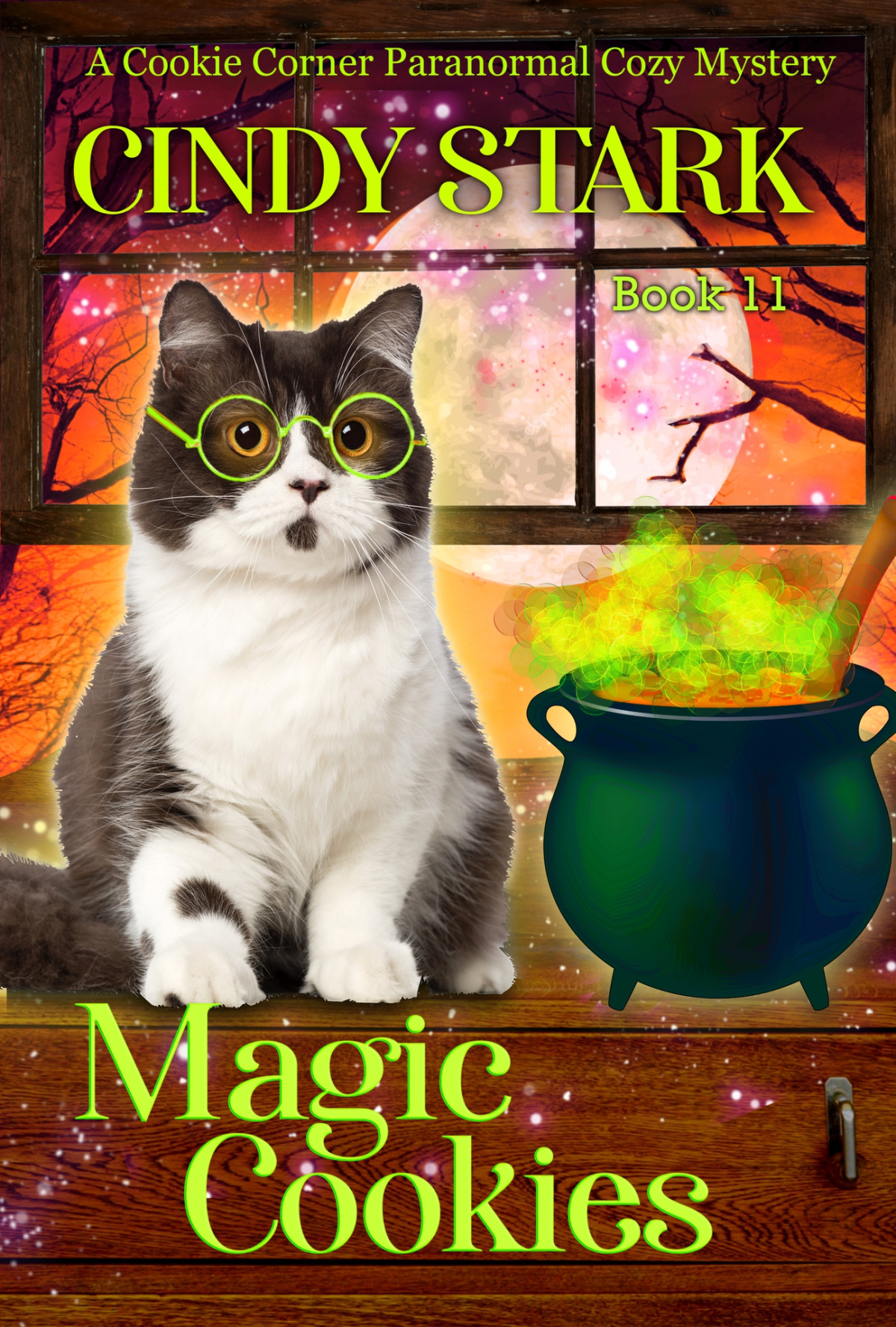 Magic Cookies A Paranormal Cozy Mystery Cindy Stark
