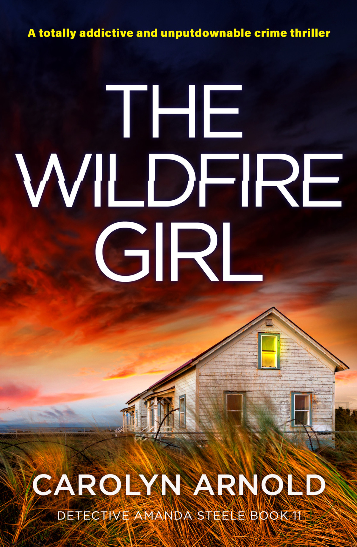 The Wildfire Girl A Totally Addictive And Unputdownable Crime Thriller Detective Amanda Steele Book 11 Carolyn Arnold