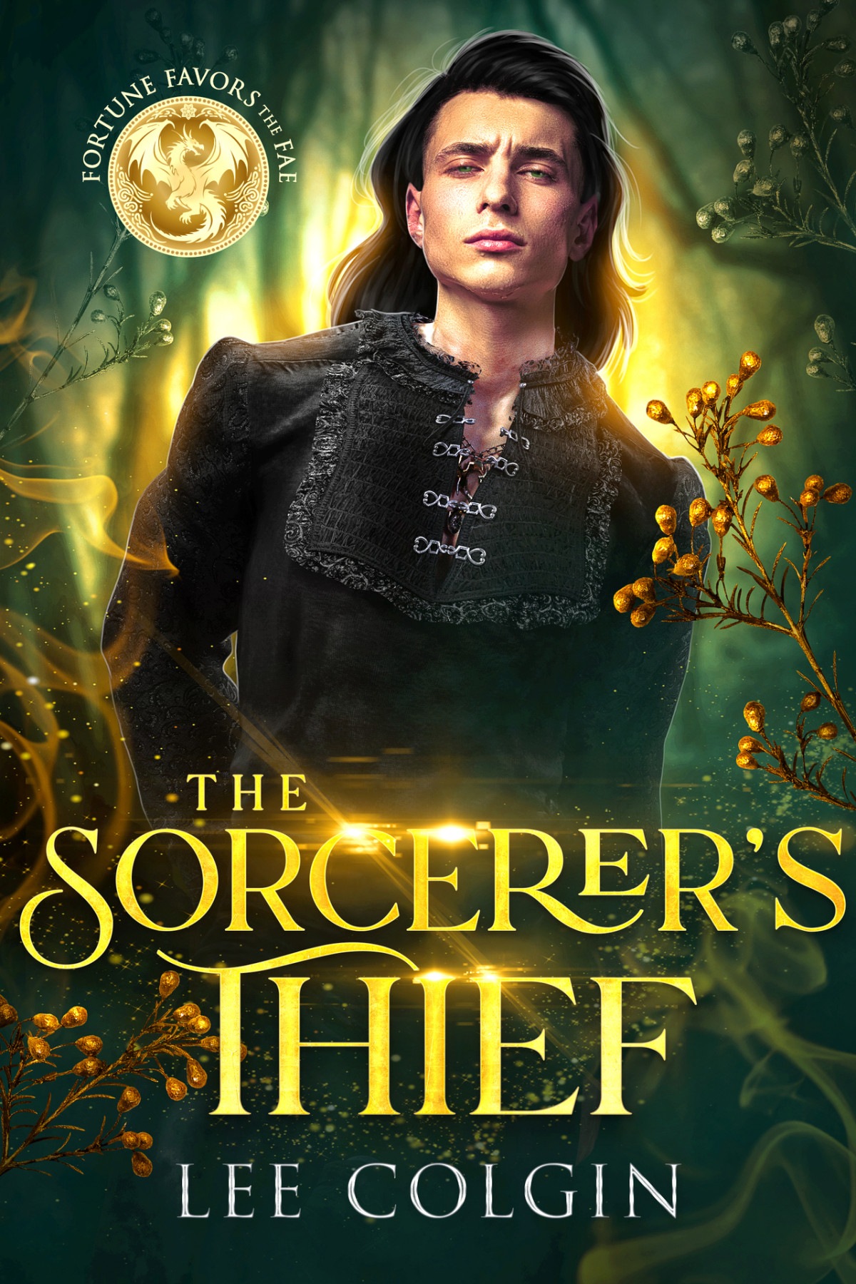 The Sorcerers Thief Fortune Favors The Fae Mm Lee Colgin