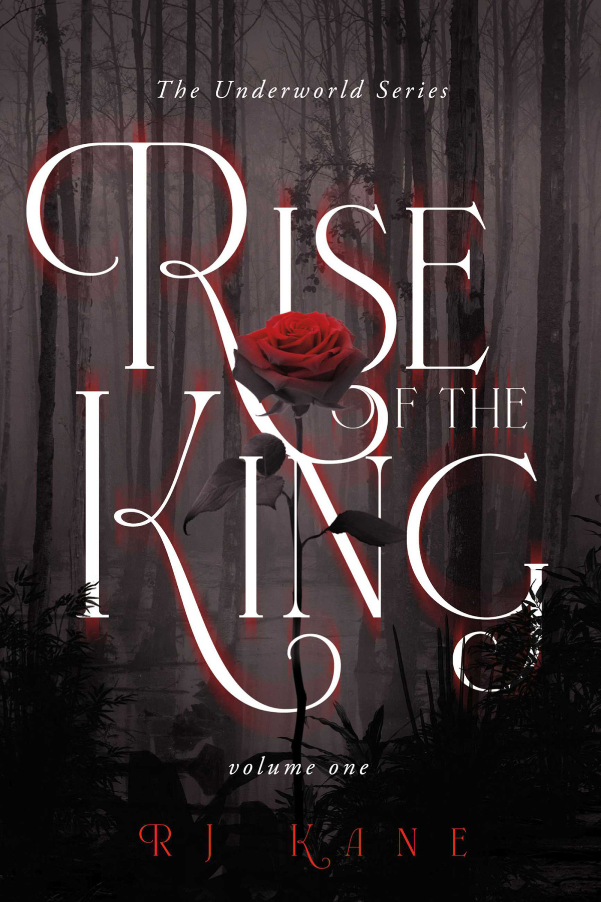 The Underworld Series Rj Kane