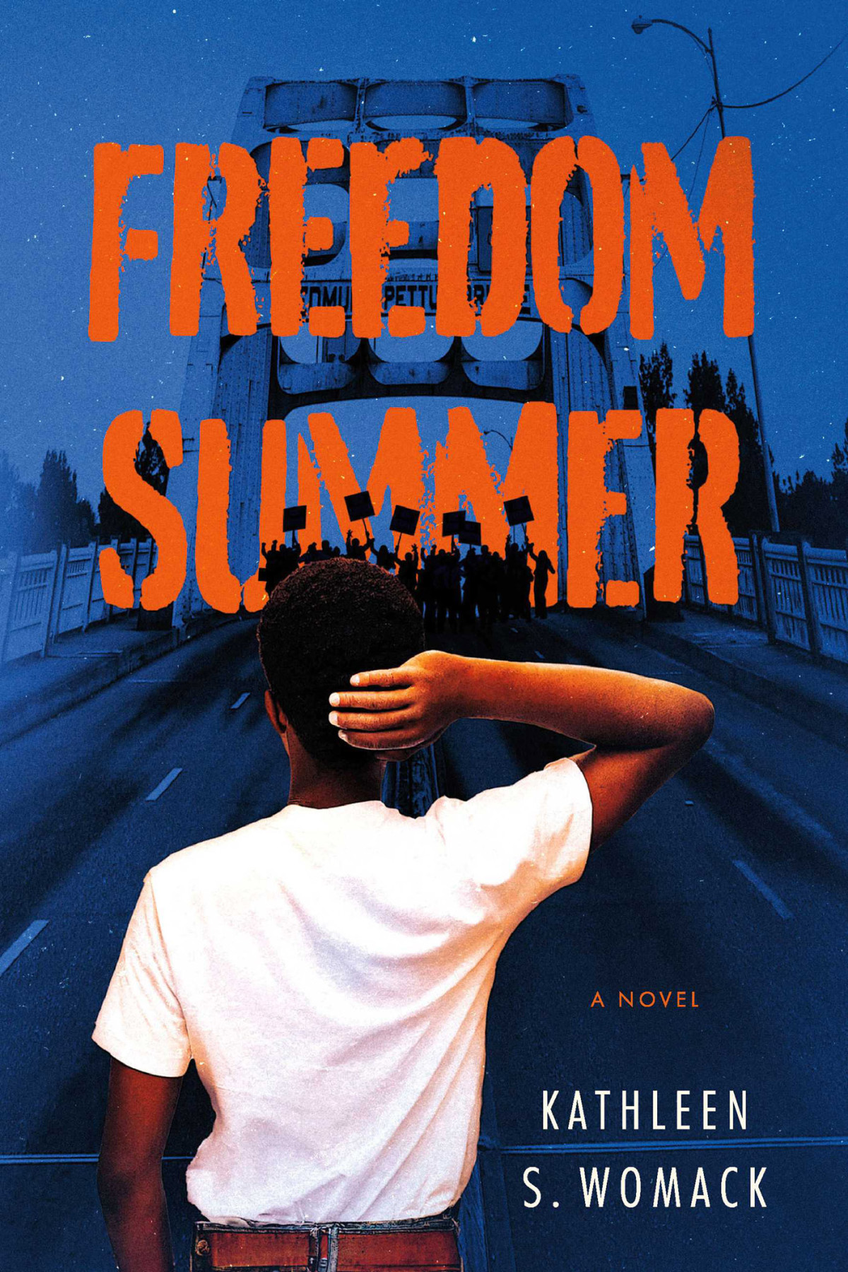 Freedom Summer Kathleen S Womack