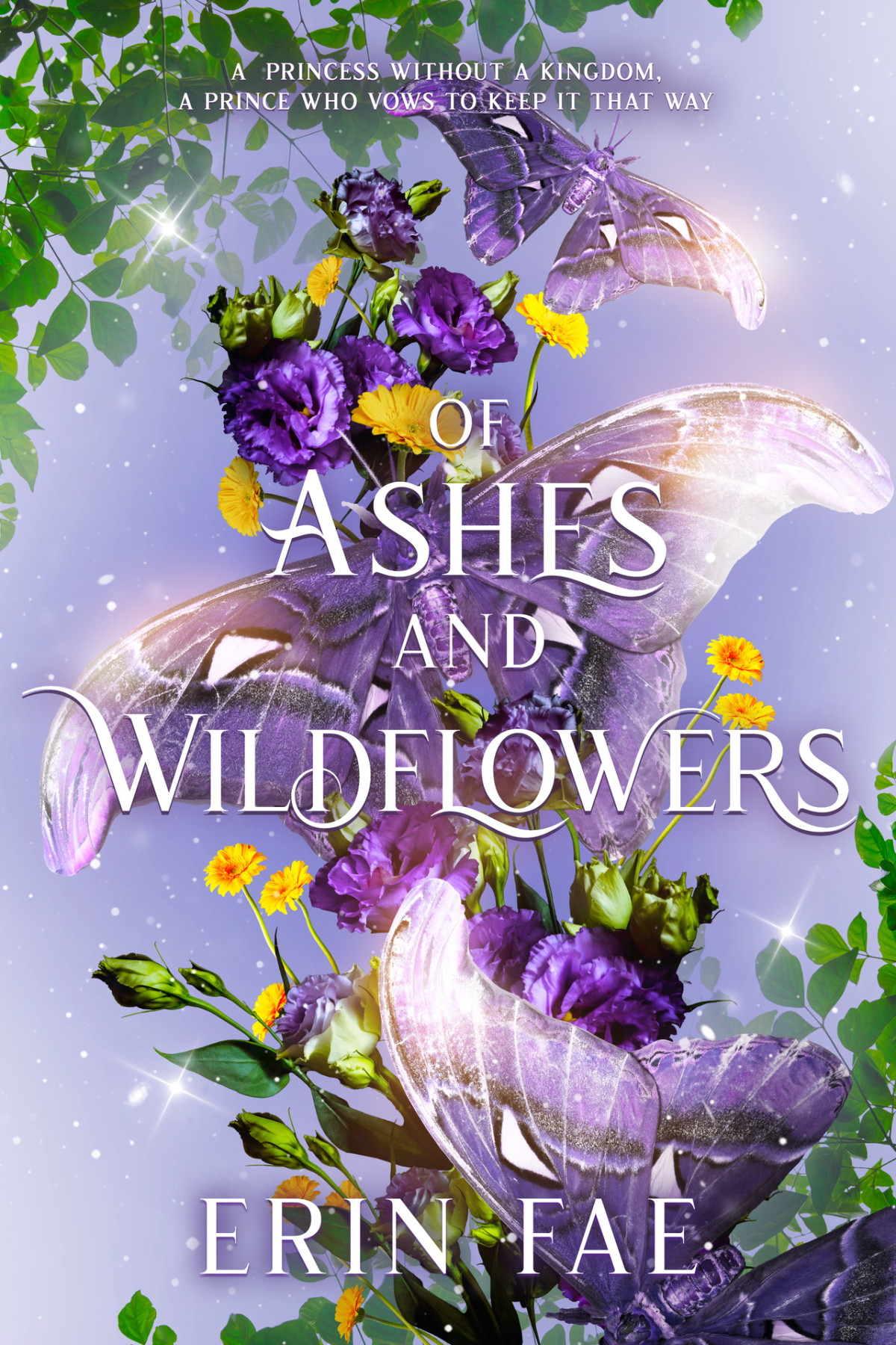 Of Ashes And Wildflowers A Romantic Fantasy With Faeries Mermaids And Two Charming Princes The Medicine Princess Book 1 Erin Fae