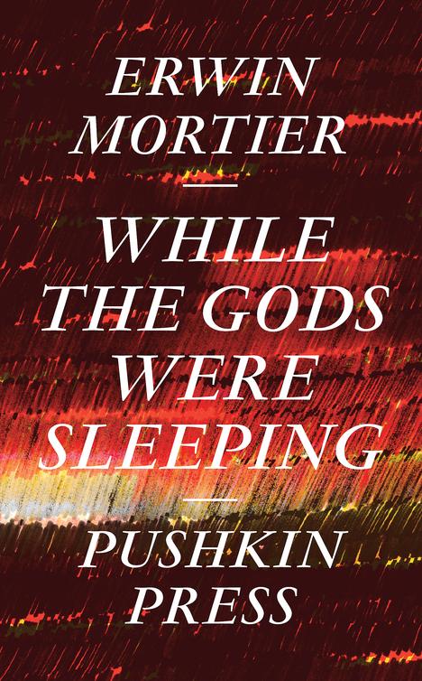 While The Gods Were Sleeping Erwin Mortier