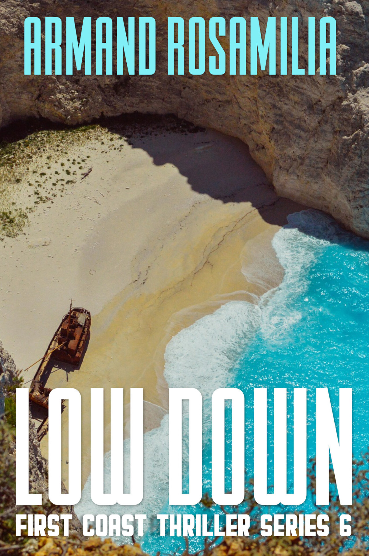 Low Down First Coast Thriller Series Book 6 Rosamilia Armand