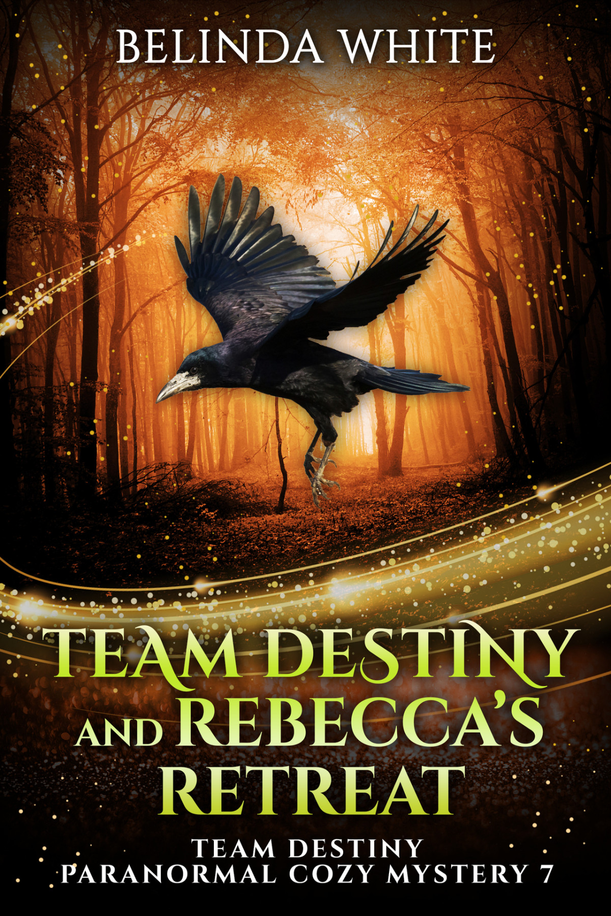 Team Destiny And Rebeccas Retreat Team Destiny Paranormal Cozy Mystery Book 7 1st Edition White