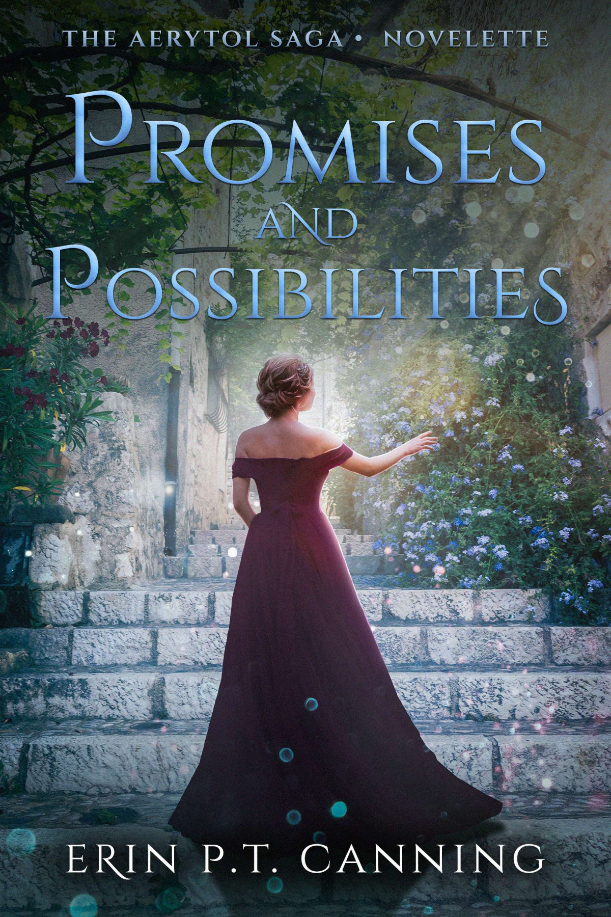 Promises And Possibilities Erin Pt Canning