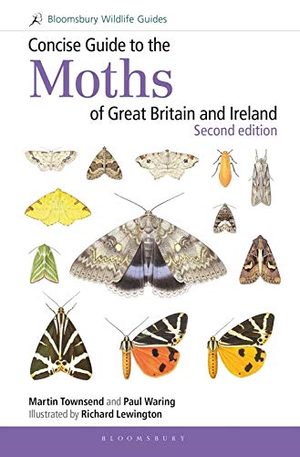 Concise Guide To The Moths Of Great Britain And Ireland Second Edition 2nd Edition Martin Townsend