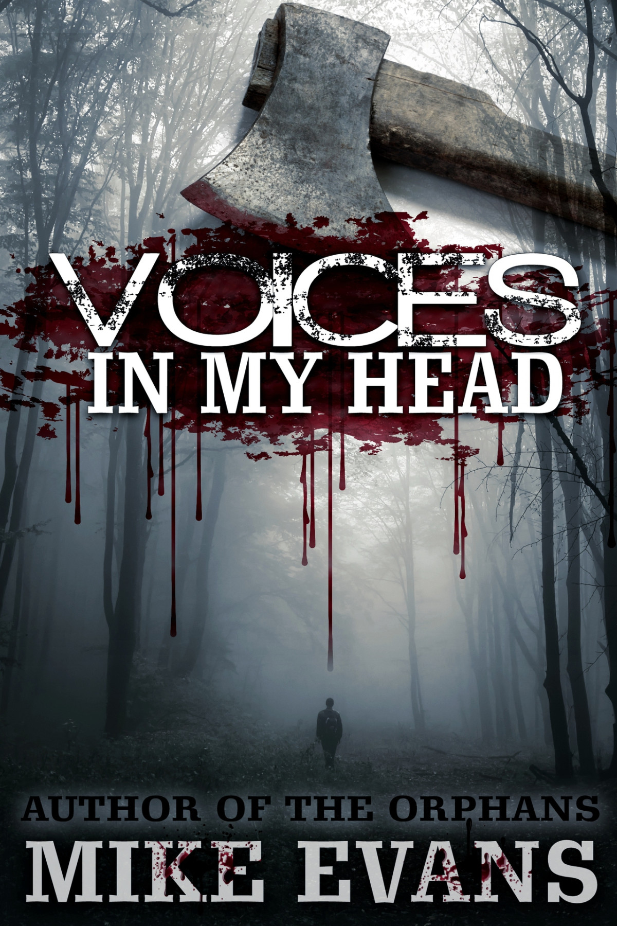 Voices In My Head Evans Mike