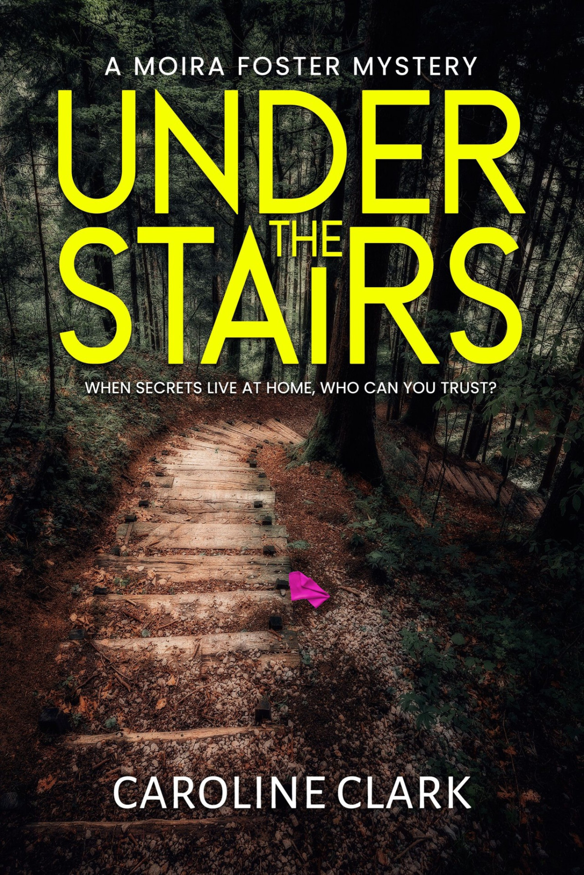 Under The Stairs An Unputdownable British Crime Thriller Full Of Twists And Turns A Moira Foster Crime Thriller Book 2 Caroline Clark