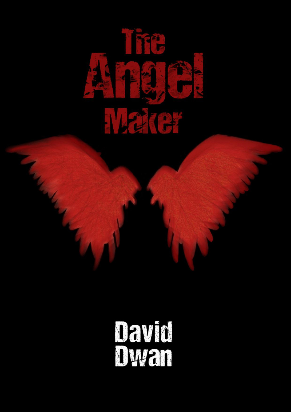The Angel Maker David Dwan