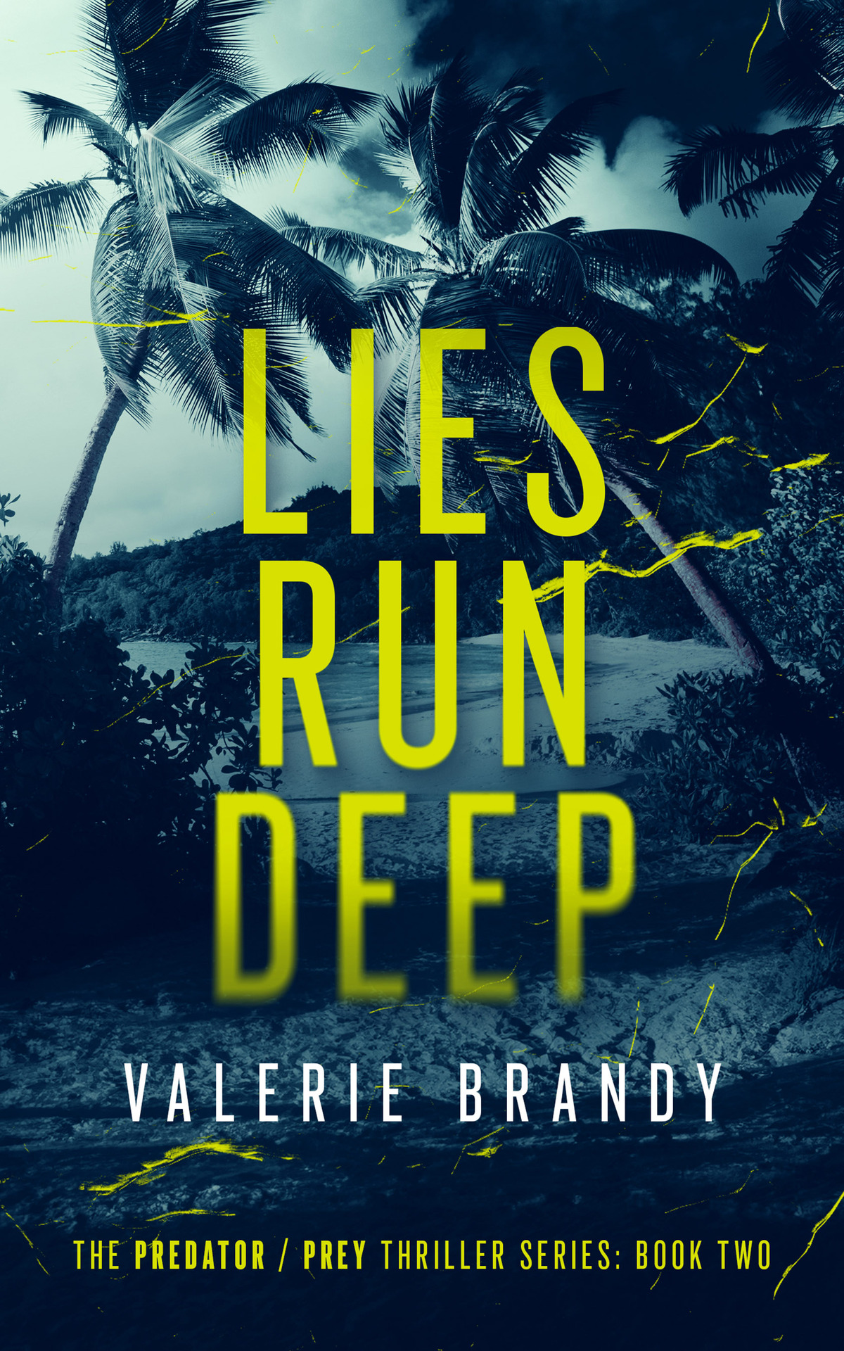 Lies Run Deep The Predator Prey Thriller Series Book Two Valerie Brandy
