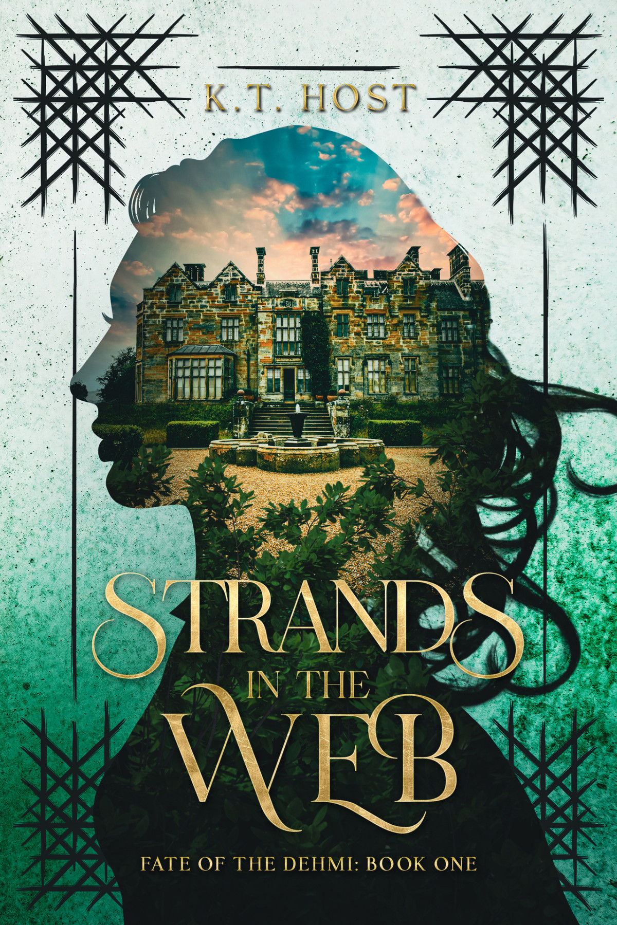 Strands In The Web Fate Of The Dehmi Book 1 Kt Host