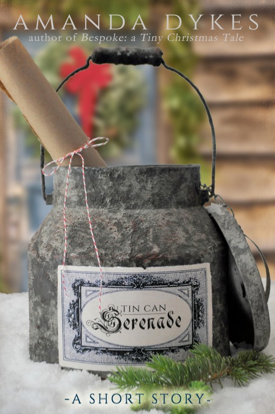 Tin Can Serenade Amanda Dykes
