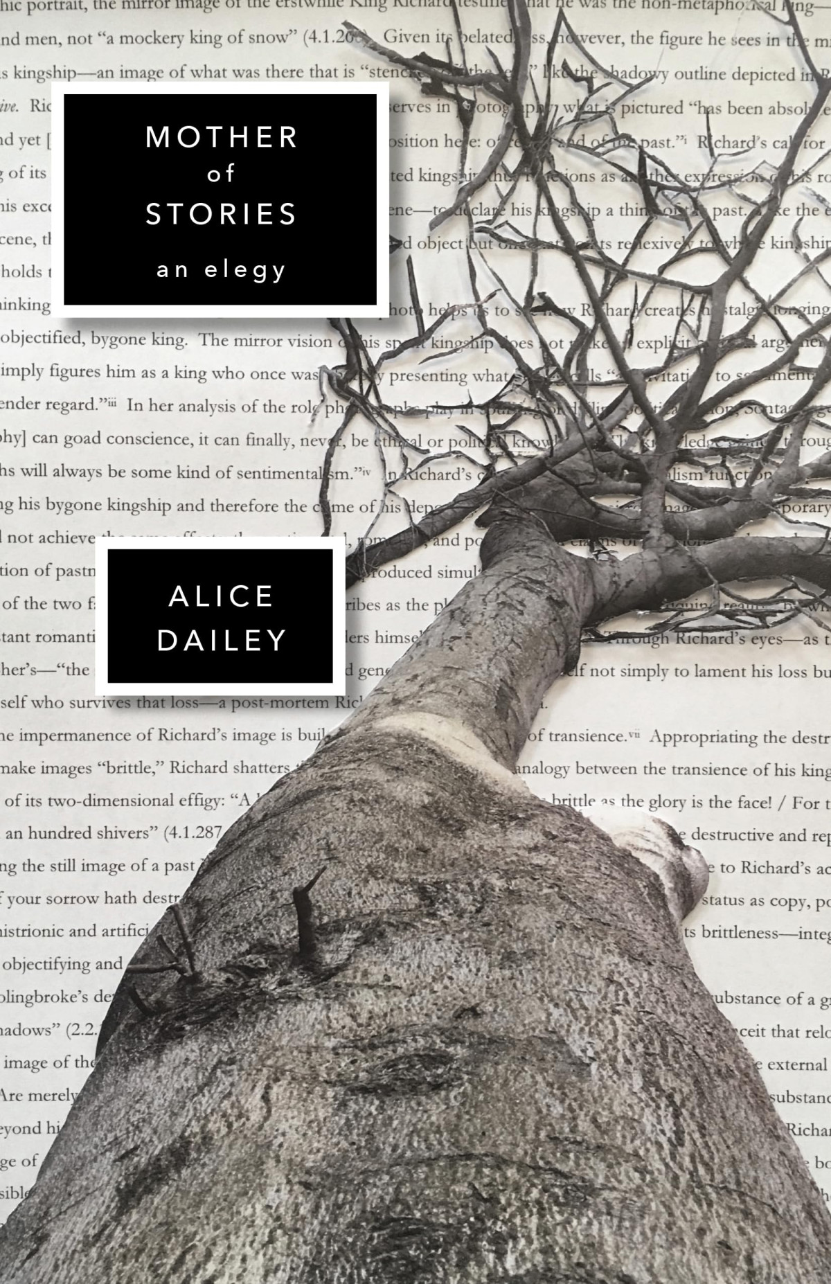 Mother Of Stories 1st Edition Alice Dailey