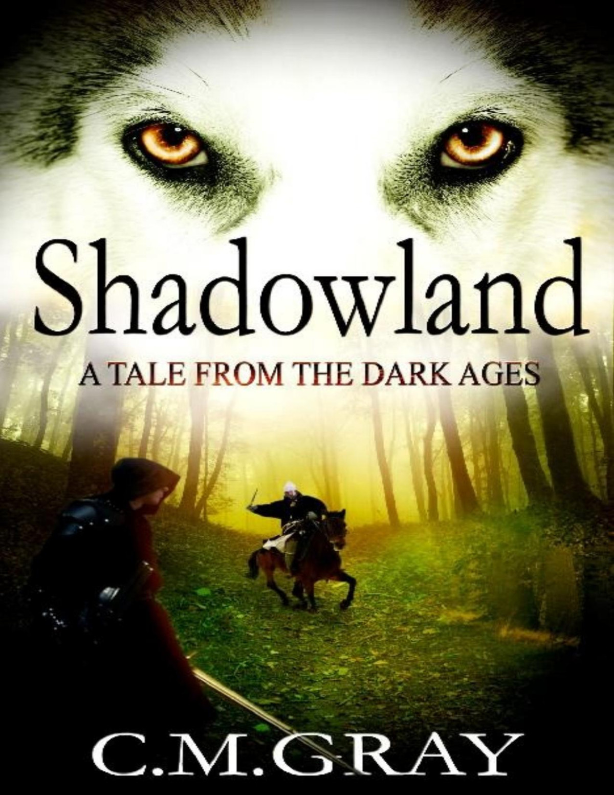 Shadowland A Tale From The Dark Ages Cm Gray