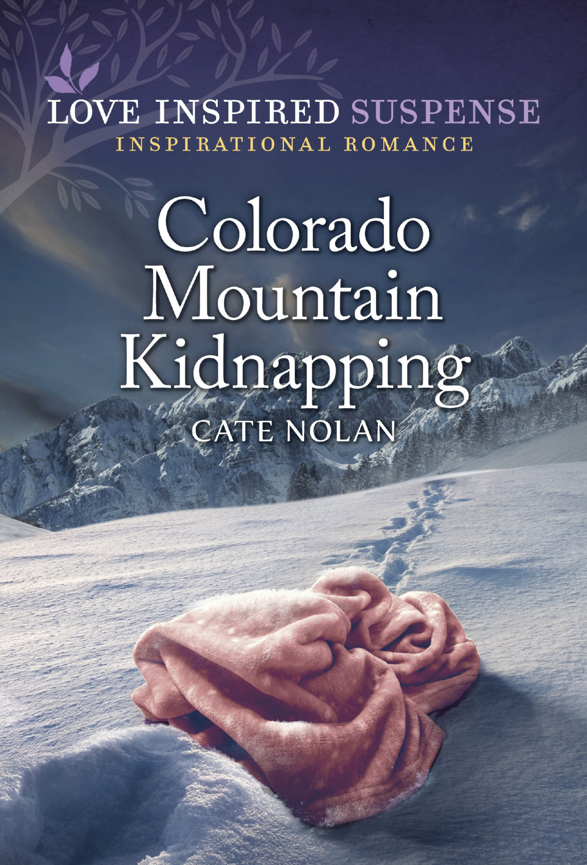 Colorado Mountain Kidnapping Cate Nolan