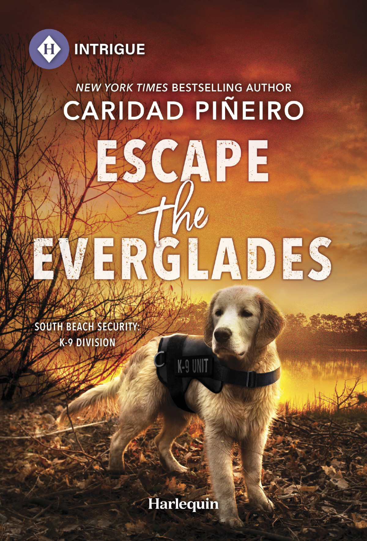 Escape The Everglades Caridad Pieiro