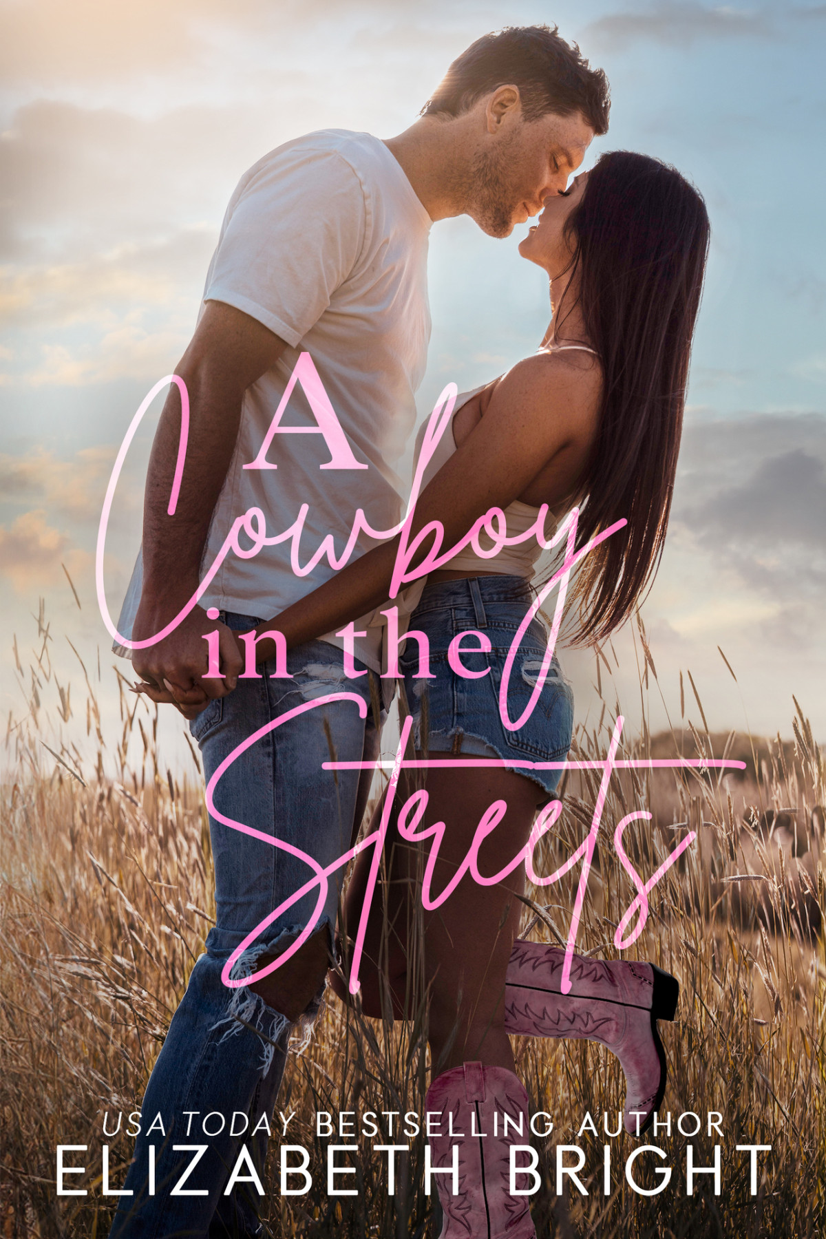 A Cowboy In The Streets Lodestar Ranch Book 1 Elizabeth Bright