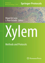 Xylem Methods And Protocols 1st Edition Miguel De Lucas J Peter Etchhells Eds