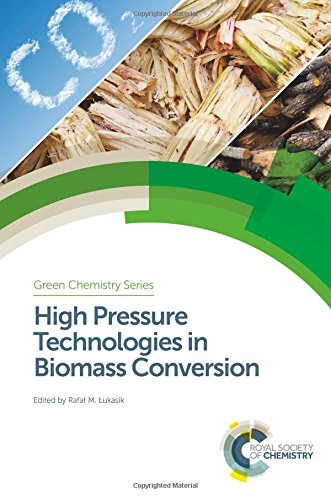 High Pressure Technologies In Biomass Conversion Rafal M Ukasik Ed