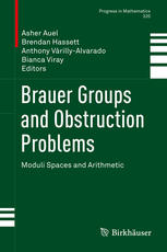 Brauer Groups And Obstruction Problems Moduli Spaces And Arithmetic 1st Edition Asher Auel