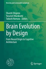 Brain Evolution By Design From Neural Origin To Cognitive Architecture 1st Edition Shuichi Shigeno