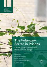 The Voluntary Sector In Prisons Encouraging Personal And Institutional Change 1st Edition Laura S Abrams