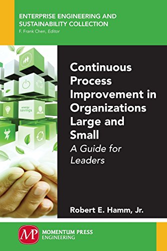 Continuous Process Improvement In Organizations Large And Small A Guide For Leaders Fauber