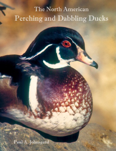 The North American Perching And Dabbling Ducks Their Biology And Behavior Paul A Johnsgard