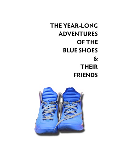The Yearlong Adventures Of The Blue Shoes Their Friends A Pedagogical Experiment In Visual Blogging And Tutoring University Athletes At The University Of Nebraskalincoln Michael R Hill
