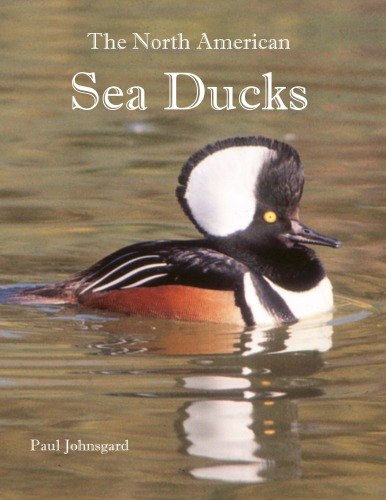 The North American Sea Ducks Their Biology And Behavior Paul A Johnsgard