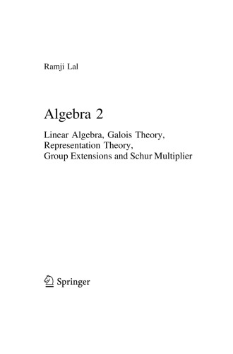 Algebra 2 Linear Algebra Galois Theory Representation Theory Group Extensions And Schur Multiplier 1st Edition Ramji Lal