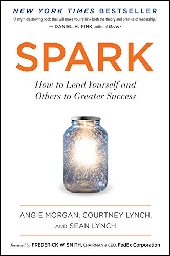 Spark How To Lead Yourself And Others To Greater Success Angie Morgan