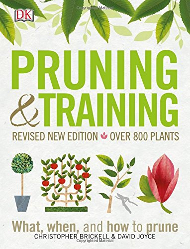 Pruning And Training What When And How To Prune Revised Christopher Brickell