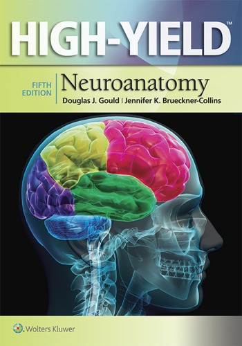 High Yield Neuroanatomy 5th Edition Douglas J Gould Jennifer K Bruecknercollins