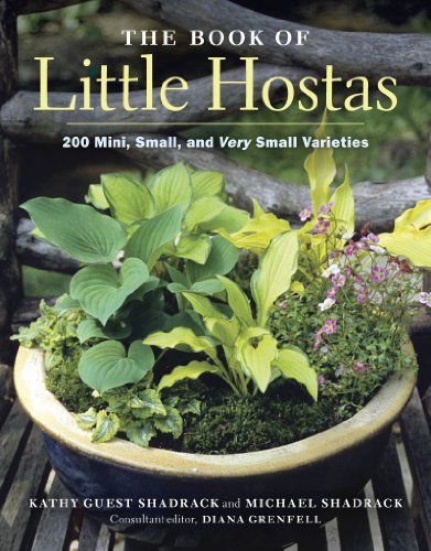 The Book Of Little Hostas 200 Small Very Small And Mini Varieties 1st Kathy Guest Shadrack