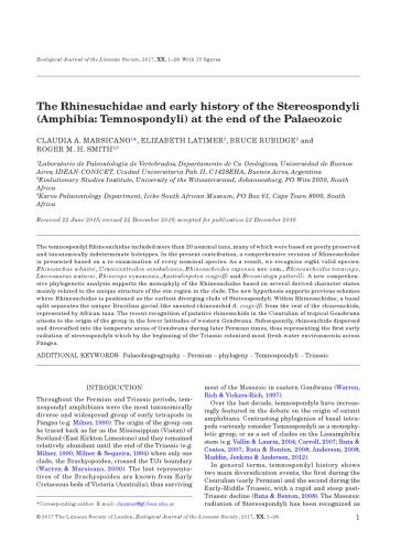 Article The Rhinesuchidae And Early History Of The Stereospondyli Amphibia Temnospondyli At The End Of The Palaeozoic Claudia A Marsicano