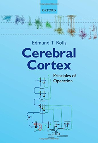 Cerebral Cortex Principles Of Operation 1st Edition Edmund T Rolls