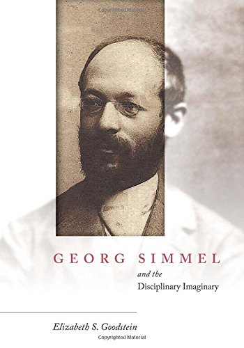 Georg Simmel And The Disciplinary Imaginary 1st Edition Elizabeth S Goodstein