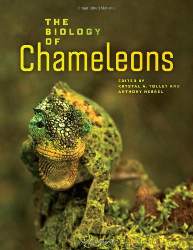 The Biology Of Chameleons Krystal A Tolley Anthony Herrel