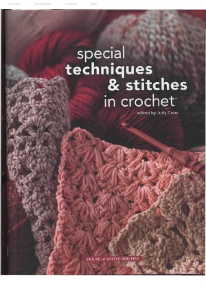 Special Techniques Stitches In Crochet Judy Crow