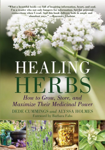 Healing Herbs How To Grow Store And Maximize Their Medicinal Power 1st Edition Alyssa Holmes