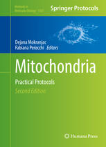 Mitochondria Practical Protocols 2nd Edition Dejana Mokranjac