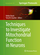 Techniques To Investigate Mitochondrial Function In Neurons 1st Edition Stefan Strack