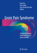 Groin Pain Syndrome A Multidisciplinary Guide To Diagnosis And Treatment 1st Edition Raul Zini