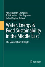 Water Energy Food Sustainability In The Middle East The Sustainability Triangle 1st Edition Sohail Murad