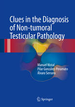 Clues In The Diagnosis Of Nontumoral Testicular Pathology 1st Edition Manuel Nistal
