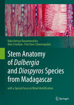 Stem Anatomy Of Dalbergia And Diospyros Species From Madagascar With A Special Focus On Wood Identification 1st Edition Bako Harisoa Ravaomanalina